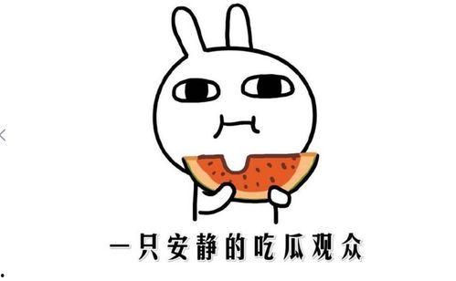 吃瓜群众吃瓜是什么意思,揭秘“吃瓜群众”背后的网络文化现象