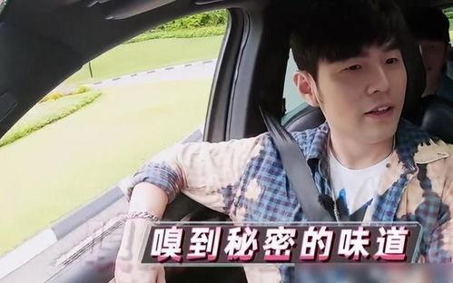 娱乐吃瓜周杰伦,娱乐界的瓜王,吃瓜群众的狂欢盛宴