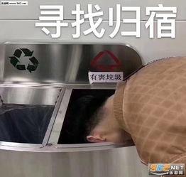 吃瓜群众表情包gif动图下载,吃瓜群众表情包GIF背后的趣味与热议