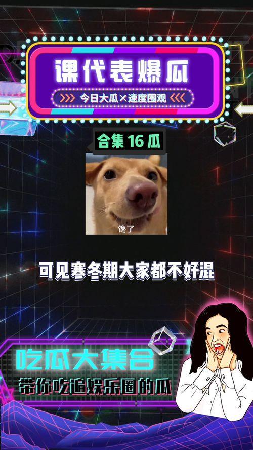 娱乐八卦吃瓜网站大全下载