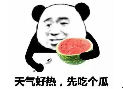 吃瓜表情包可爱图片,吃瓜表情包中的可爱瞬间